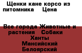 Щенки кане корсо из  питомника! › Цена ­ 65 000 - Все города Животные и растения » Собаки   . Ханты-Мансийский,Белоярский г.